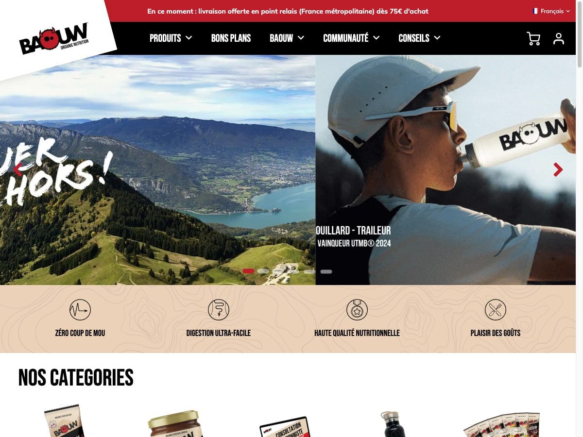 Aperçu du site Baouw