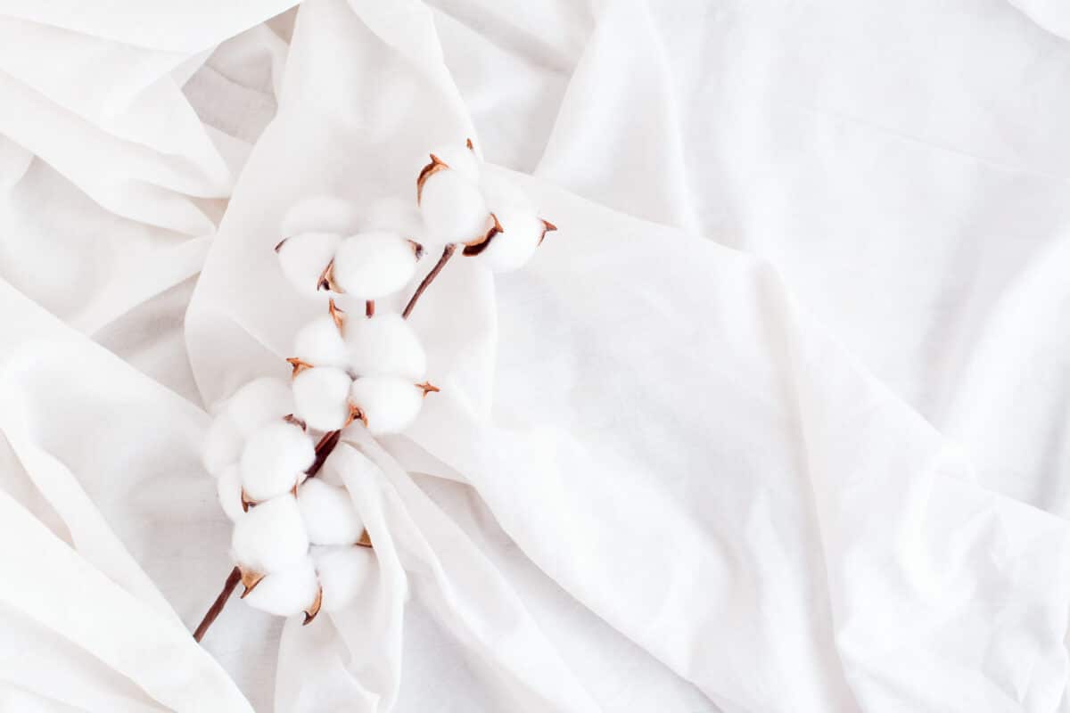 Le coton biologique assure une qualité optimal aux matelas, draps et housses de lit