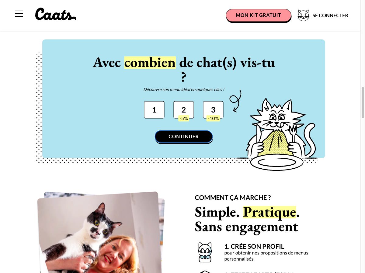 Aperçu du site Caats