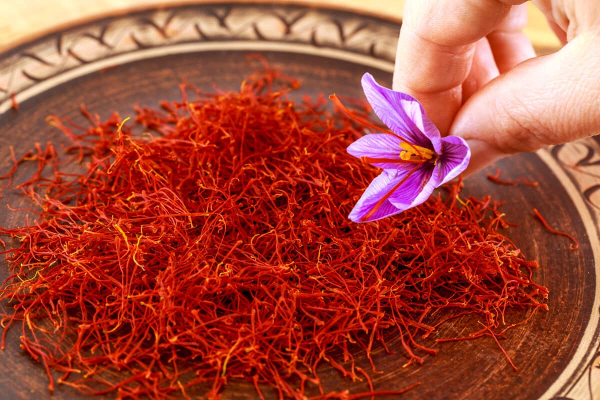 Comment bien choisir son safran : entre couleurs, arômes et origines, explorez l’or rouge