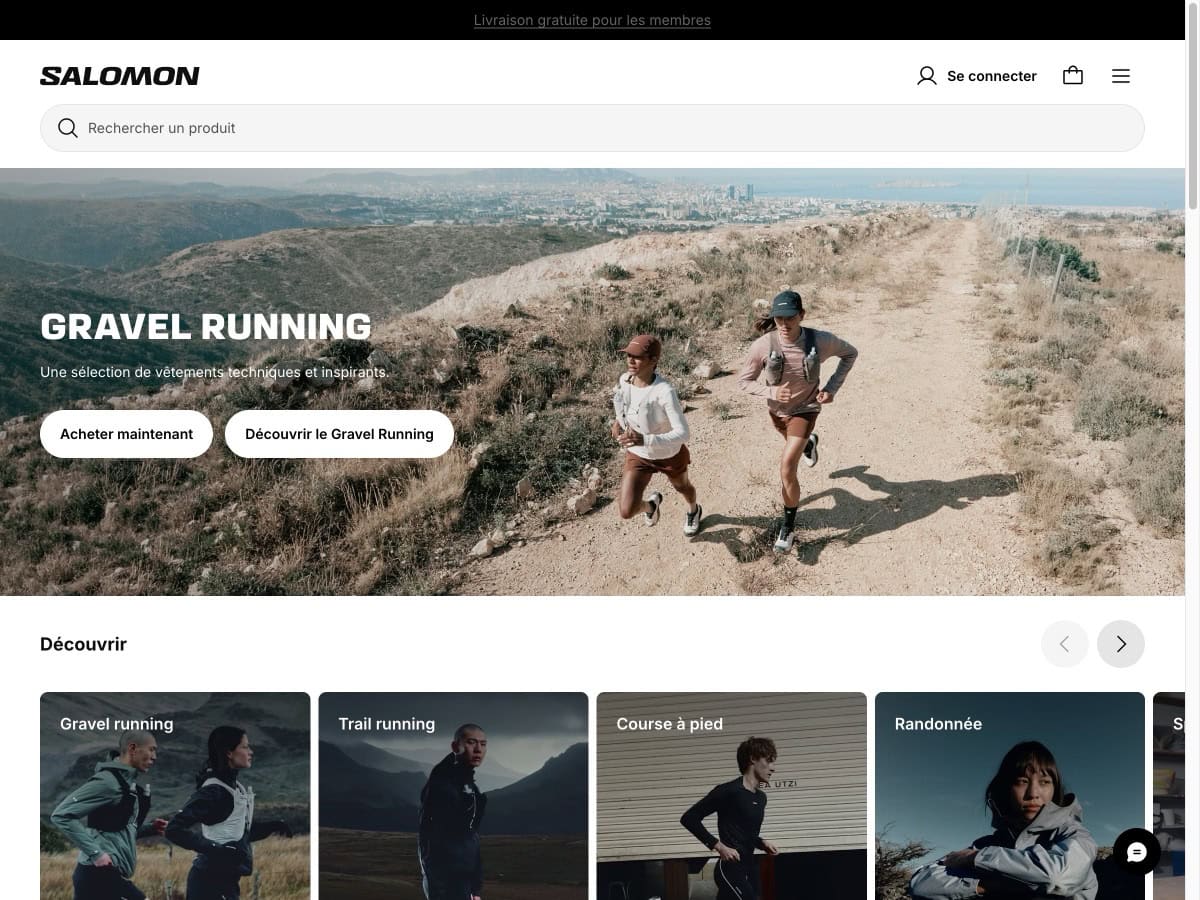 Aperçu du site Salomon